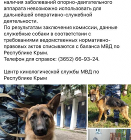 Полиция Крыма отдает истощенных собак_tg Омбудсмен полиции.jpg
